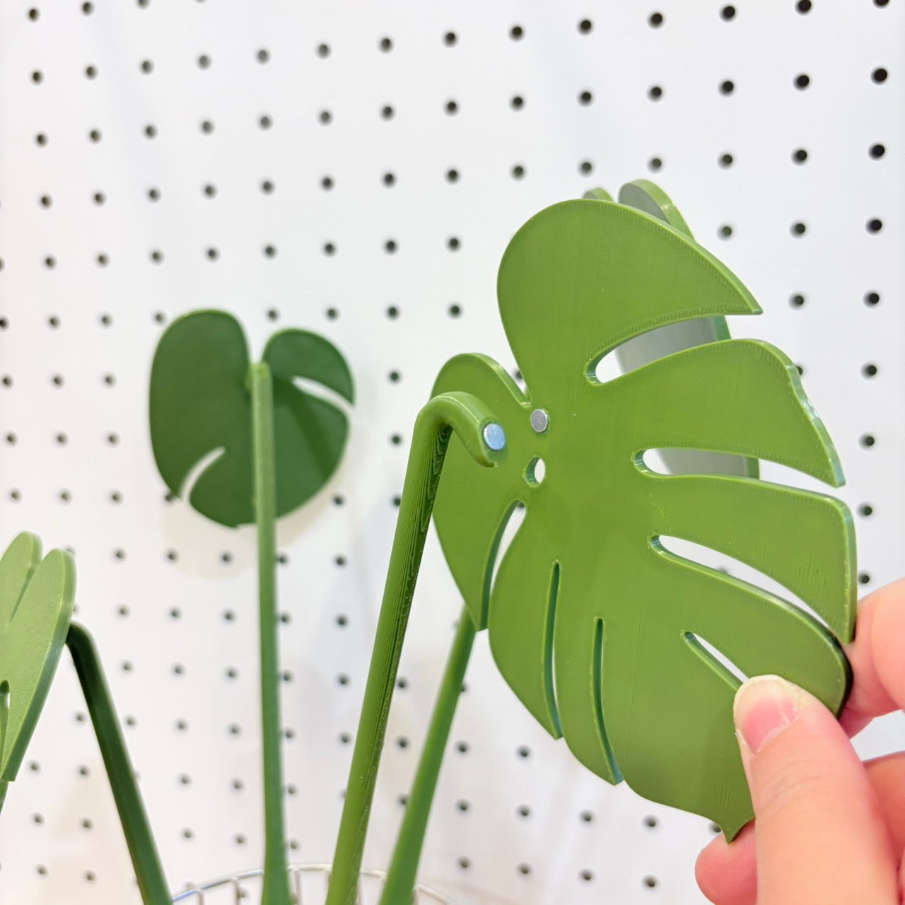 好宅選品 🏠 植栽造型磁吸隔熱墊 杯墊 隔熱 創意擺飾 水杯墊 龜背芋造型