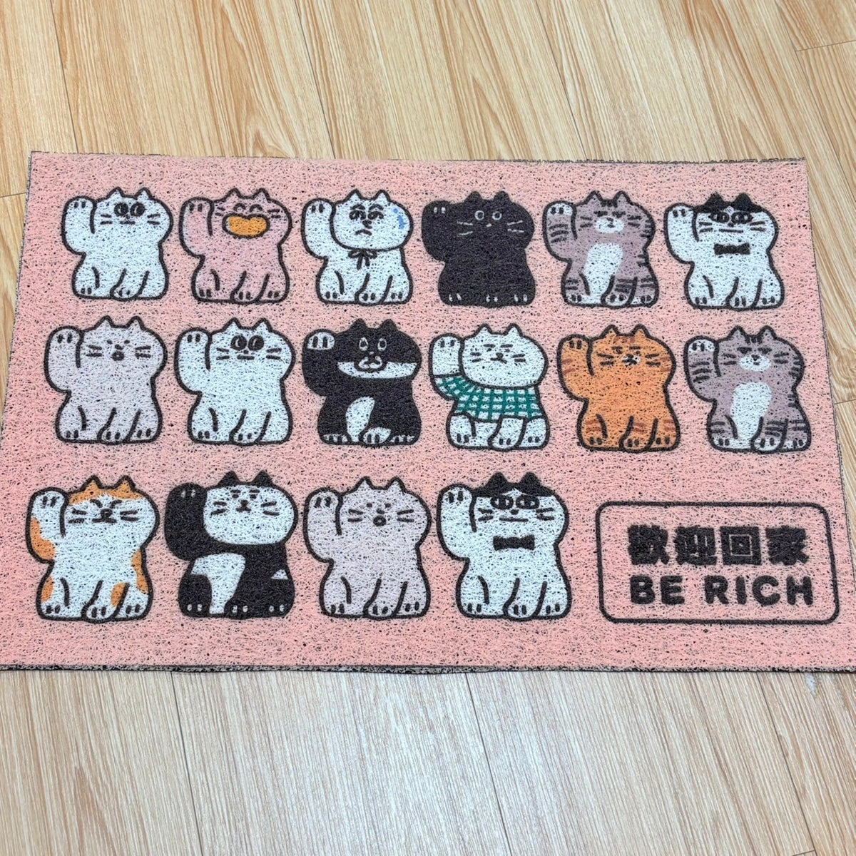 好宅現貨 ⚡ 入門地墊 絲圈 玄關大門 玄關墊 外蹭土 防滑腳墊 進門 門墊 地毯 腳踏墊 除塵墊 地墊