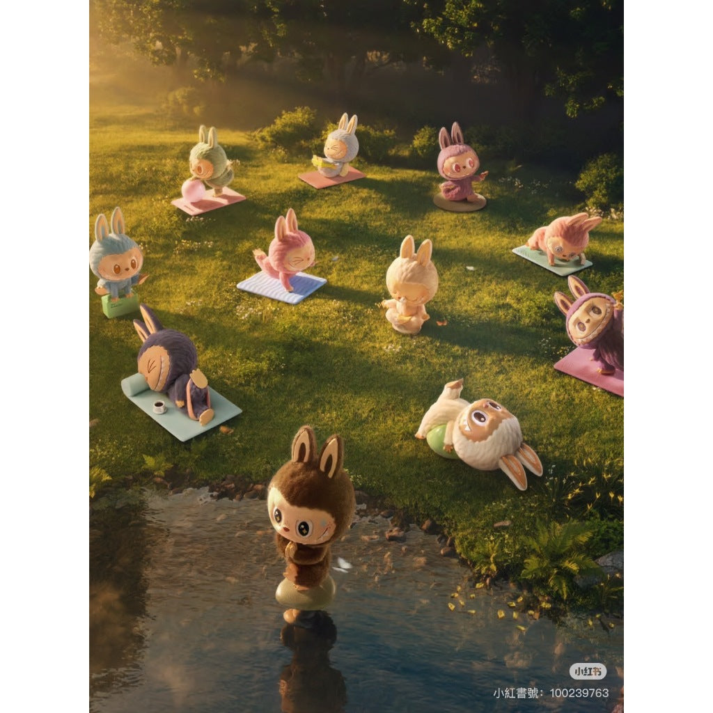 快速預購 ✅ Labubu 慵懶瑜珈 系列 確認款 隱藏 盲盒 泡泡瑪特 公仔 popmart 很正式 自信式 瑜珈