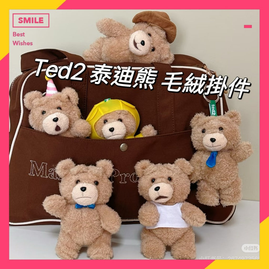 快速預購 ✅ Ted2 泰迪熊 毛絨掛件 確認款 泡泡瑪特共鳴 盲盒 公仔 可動毛絨娃娃 手辦 popmart 娃娃