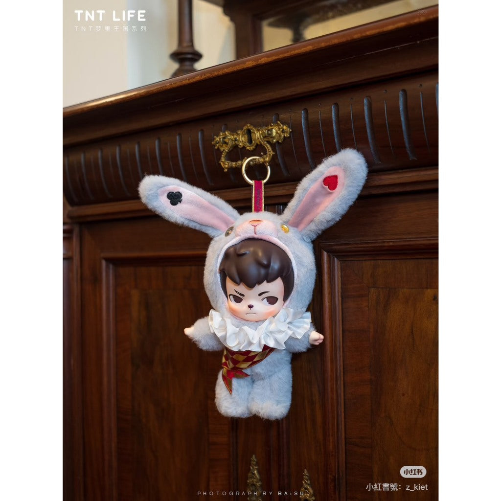 快速預購 ✅ Rayan 夢裡王國 確認款 TNT space 限定吊卡 盲盒 毛絨搪膠公仔 一番賞 萊恩 dora