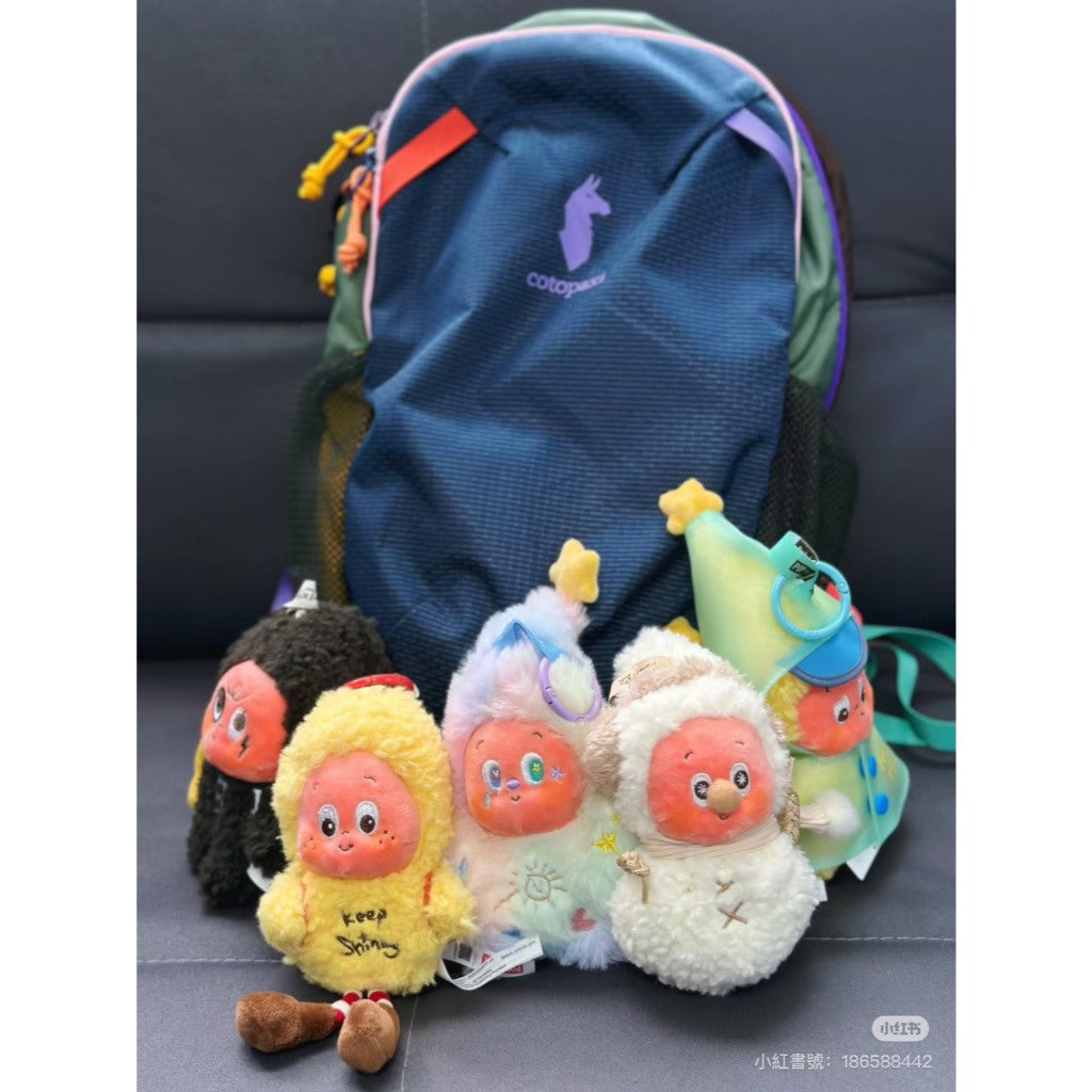 快速預購⚡星星人 好夢氣象局 毛絨掛件 確認款 泡泡瑪特 popmart 公仔 盲盒 隱藏 毛絨娃娃 大風中的凌亂 娃娃